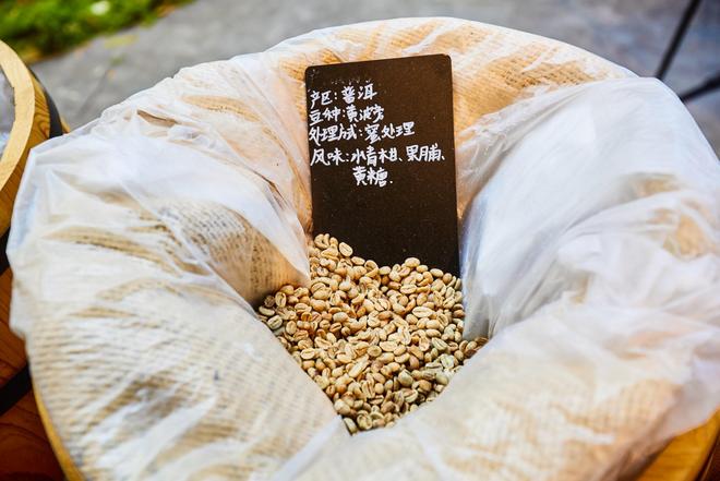 体验咖啡文化深入了解背后的文化故事麻将胡了2试玩网站普洱北归咖啡庄园(图1) 体验咖啡文化深入了解背后的文化故事麻将胡了2试玩网站普洱北归咖啡庄园(图1)