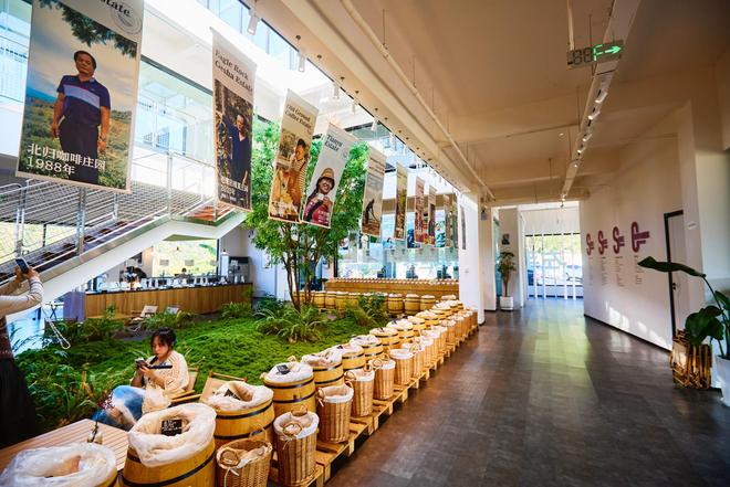 体验咖啡文化深入了解背后的文化故事麻将胡了2试玩网站普洱北归咖啡庄园(图2) 体验咖啡文化深入了解背后的文化故事麻将胡了2试玩网站普洱北归咖啡庄园(图2)